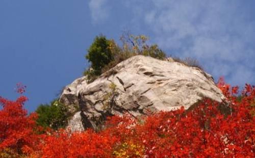 华山红叶什么时候变红  华山红叶最佳观赏时间