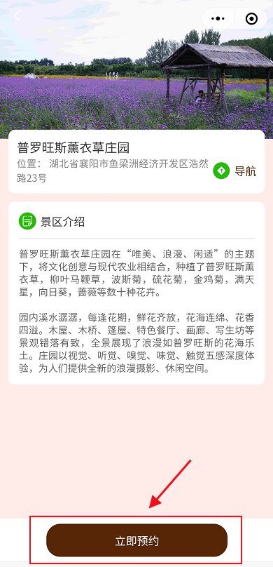 襄阳普罗旺斯薰衣草庄园免门票预约流程