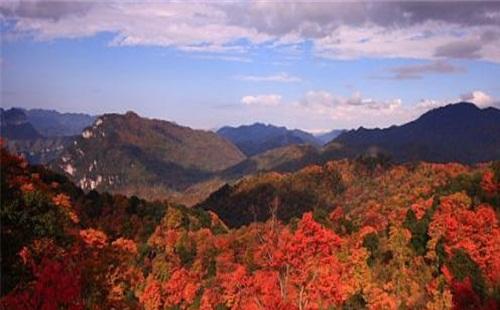 2020年光雾山红叶节（时间+地点+路线） 最佳看枫叶的地方