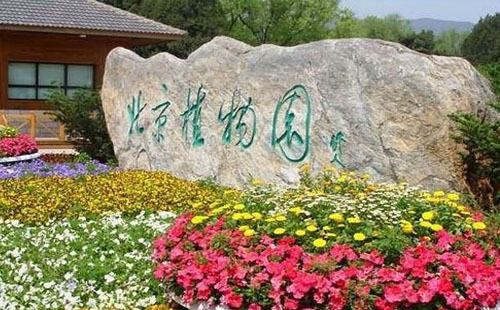 2021北京植物园现在有什么花(附赏花时间表)