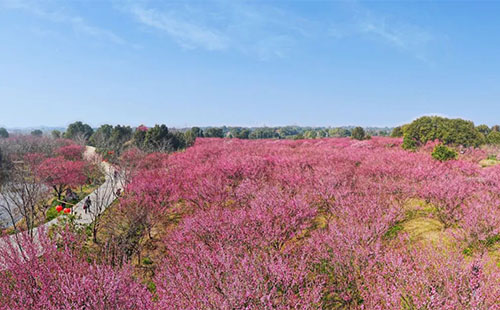 荆州旅游景点攻略(二十条乡村旅游线路)