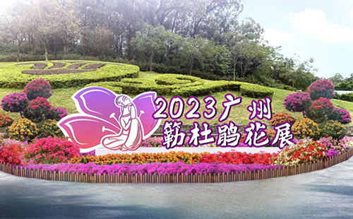 2023广州簕杜鹃花展时间+地点+门票