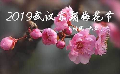 2019武汉东湖梅花节开放时间 武汉梅花节在什么地方