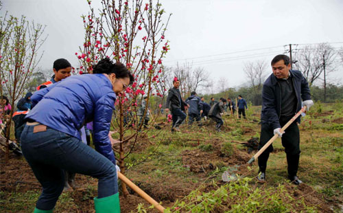 武汉全民义务植树节报名（报名方式+种植地点）