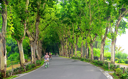 2019汉马赛道有哪些风景 汉马赛道风景盘点