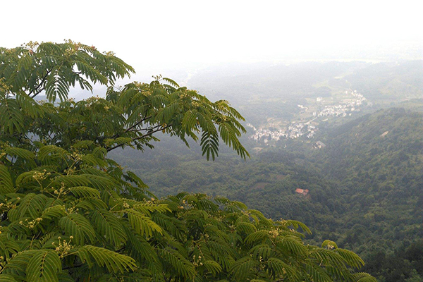 五一武汉劳动者旅游优惠 劳动模范凭证畅游景区