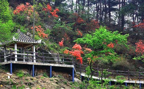 2019武汉旅游惠民券预约怎么抢票(怎么领取)