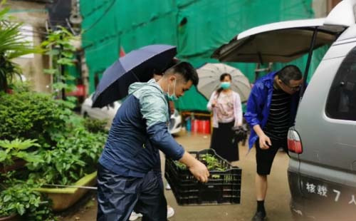 本周武汉植物园赠菊苗社区名单