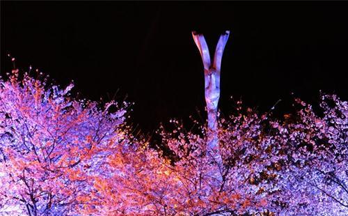 武汉有哪些可以看夜景的山