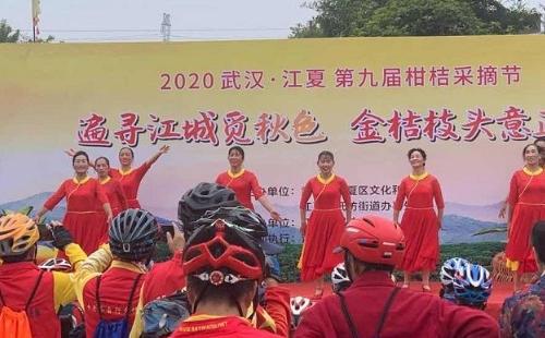 2020武汉江夏柑桔采摘节活动时间内容_第八届江夏柑桔采摘节