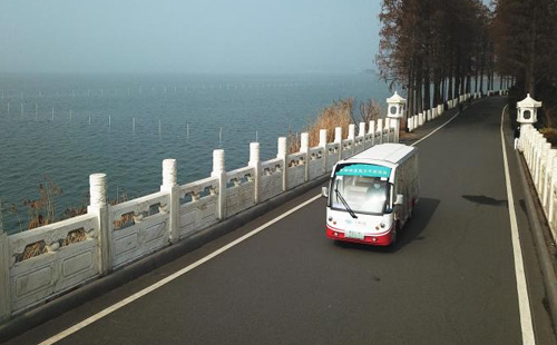 东湖赏樱旅游专线什么时候开通2021（观光车+游船）