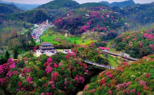 2021百里杜鹃 “花YOUNG年华”山地马拉松赛前须知