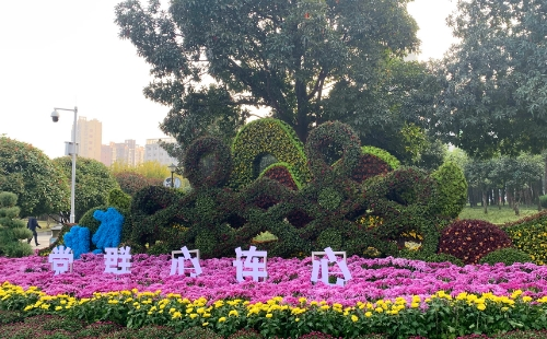 2021江夏菊花展时间地址主题亮点内容