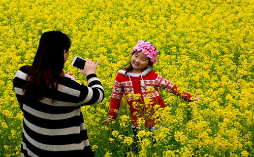 2019年蔡甸区消泗油菜花节是哪一天