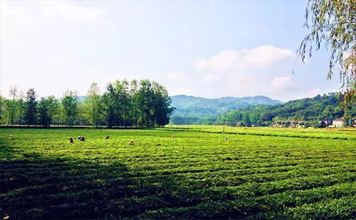 端午节武汉周边自驾游（地区+门票+攻略）