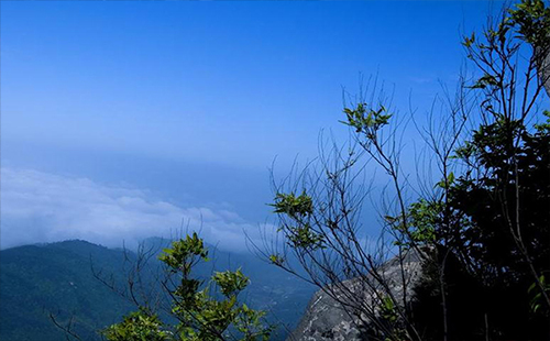 浠水三角山门票是多少（门票要提前预定吗+滑雪场门票+优惠政策）