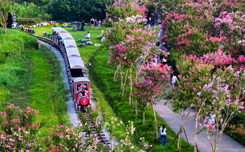 武汉周边旅游景点城市 紫薇花大片盛开的城市有哪些