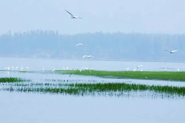 沿汉江的湿地有哪些 汉江沿江湿地景点推荐