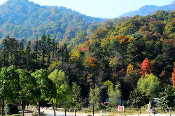 武汉怎么去大洪山风景区 大洪山门票多少钱