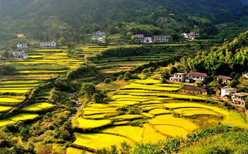 荆楚乡村旅游十大美景 湖北乡村旅游景点大全