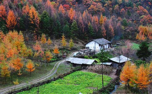 湖北神农架有几个景区几个景点组成（旅游攻略）