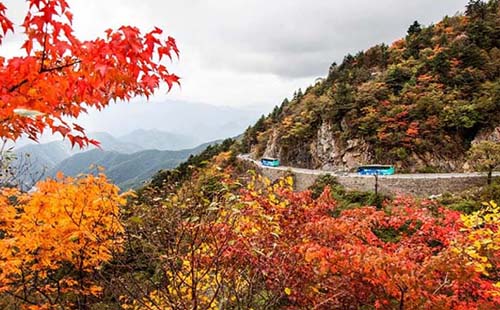 10月15日至30日，武汉周边这些景区为武汉居民免票