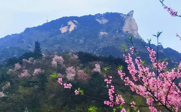 麻城龟峰山风景区门票价格_网上预订_电话号码