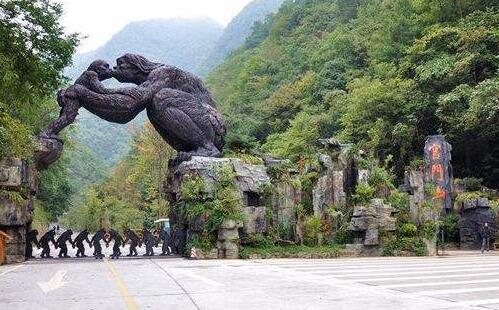 湖北神农架生态旅游区7大景区恢复开放_门票优惠政策