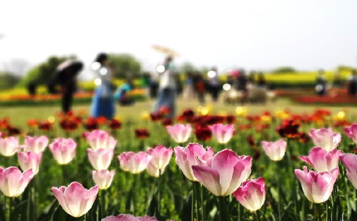 2021孝感观音湖花朝节（时间+活动）