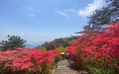 龟峰山景区2021旅游年卡价格