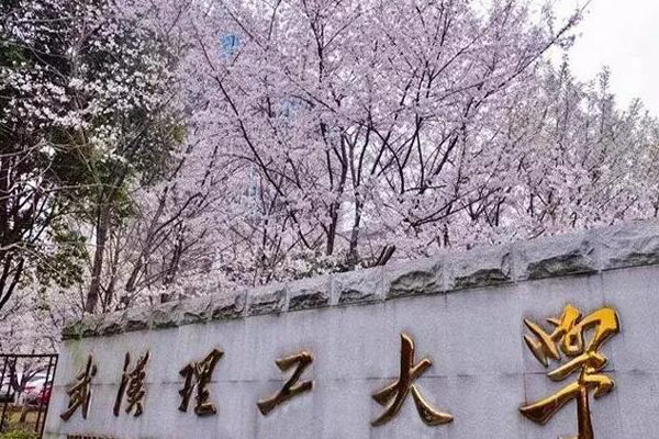 武汉理工大学.jpg