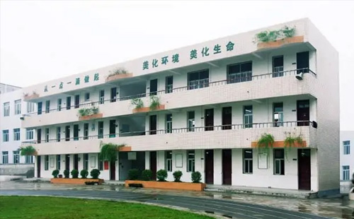 小学1.jpg