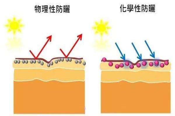 未标题-5.jpg