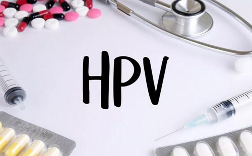 hpv3.jpg