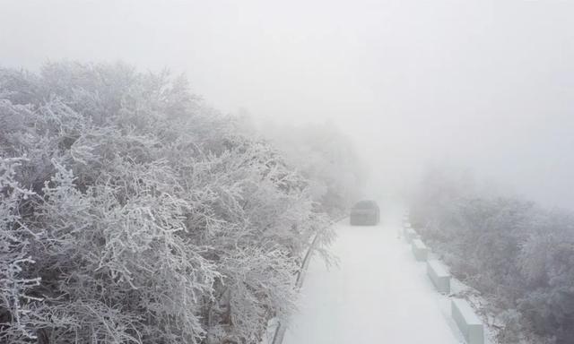 湖北大规模雨雪上线